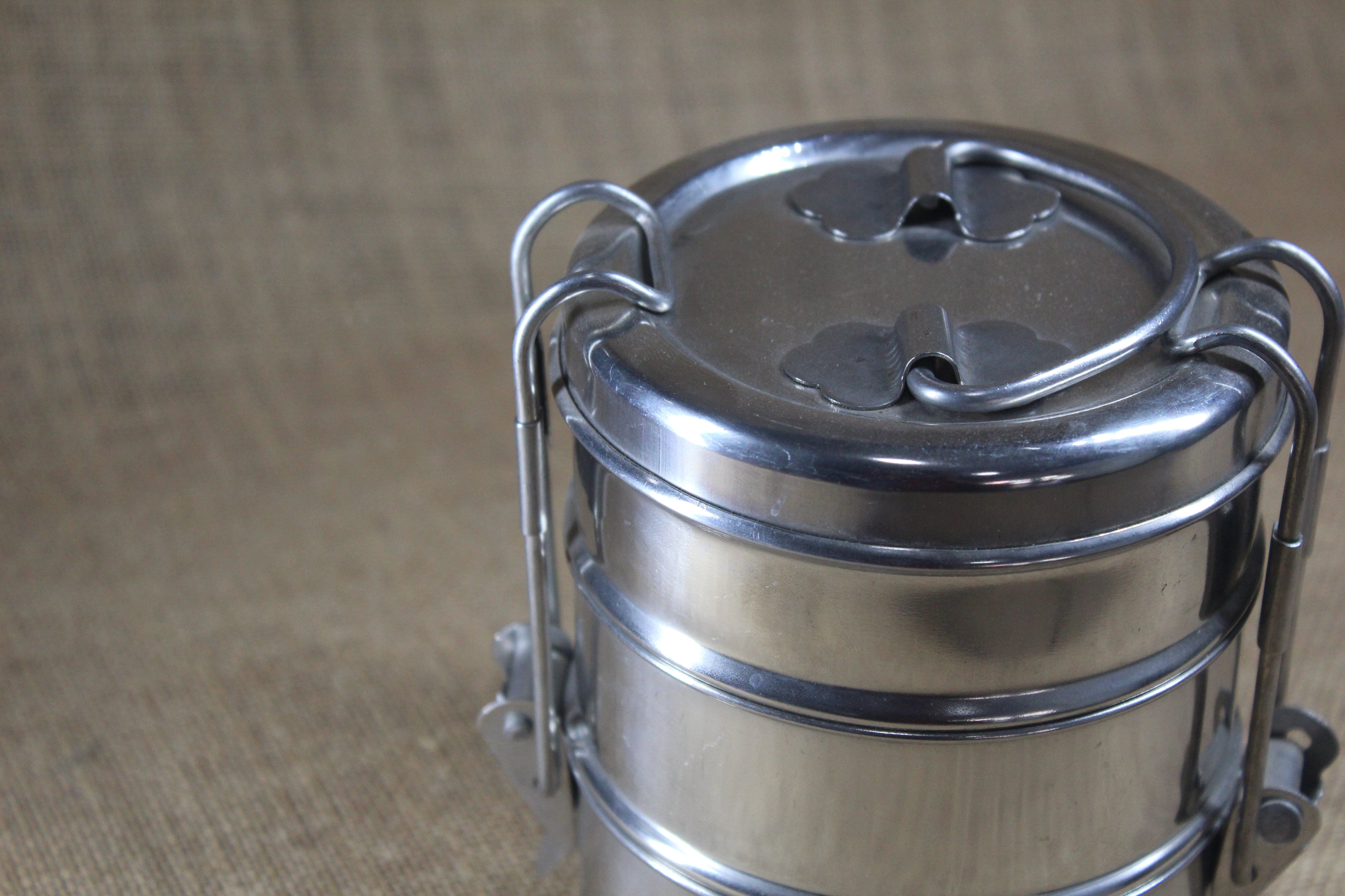 Stainless Steel Food Carrier